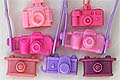 tdollcameras.jpg (11531 byte)